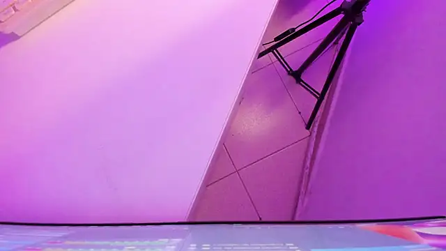 Roxanedewalle webcam