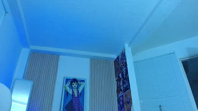 kittyhouse_hs webcam