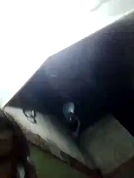 XxxXeduRLupit webcam