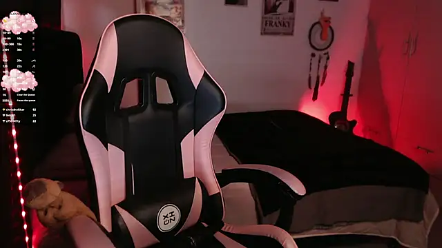 Theprojectsaraa webcam