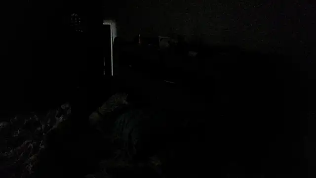 Ricanmrmarcus webcam