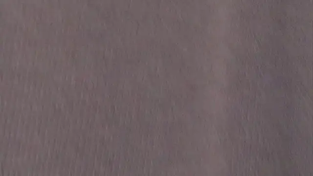 BettySquirtson webcam