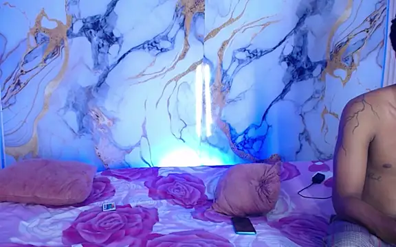 Damian_and_theo webcam