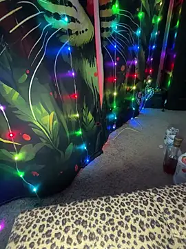 fatfabulous1981 webcam