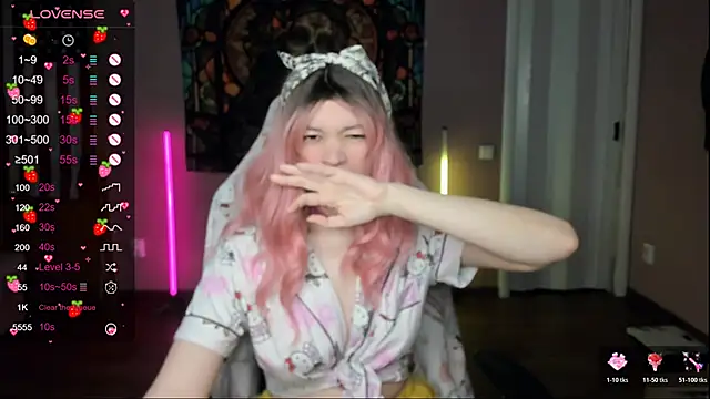 Project_hisoka webcam