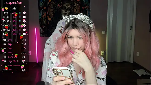 Project_hisoka webcam