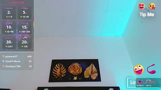 katha_Crawford webcam