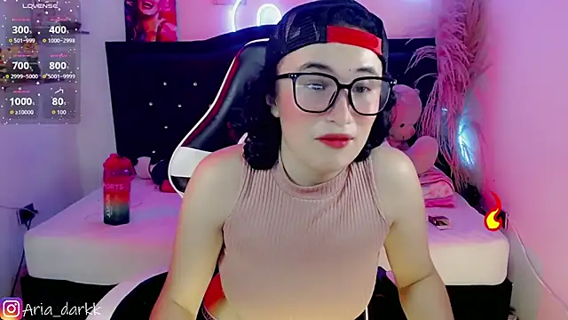 AriaDark webcam