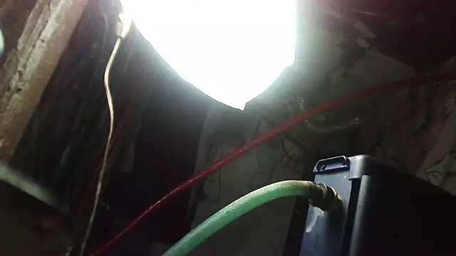 ILOVEhairywoman webcam