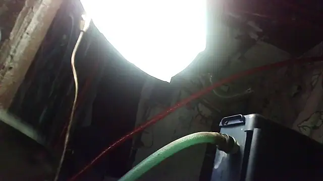 ILOVEhairywoman webcam