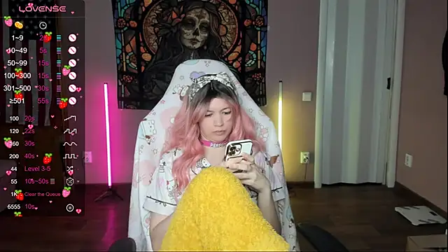 Project_hisoka webcam