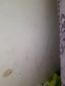 Webcam Model (zahra3)  is live.Free join now!