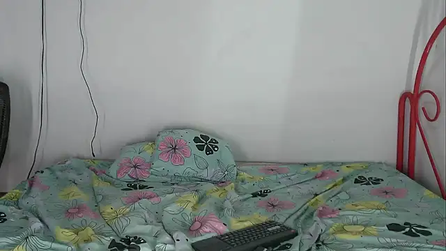 Yair_and_camila webcam