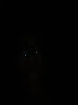 elegant__rouse webcam