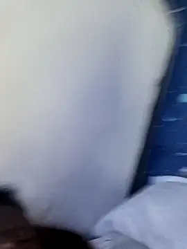 WholeAltimeter25 webcam