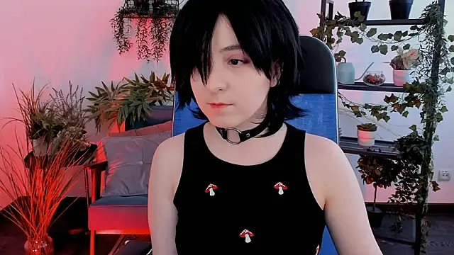 VirtuallVoyant webcam