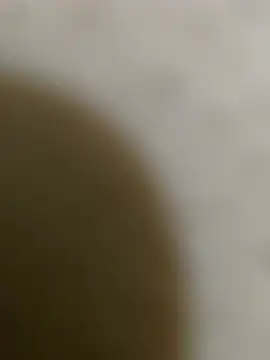 Pabloescobar2356 webcam