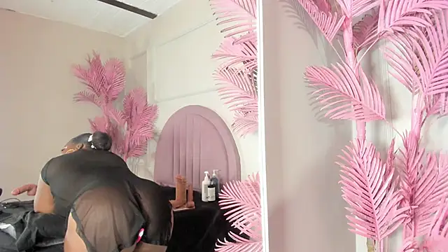 Tamaramilleer webcam