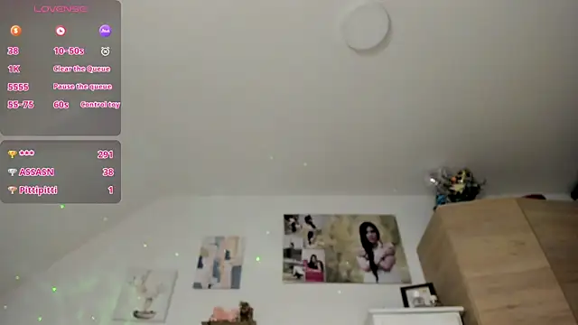 Veronikolsen- webcam