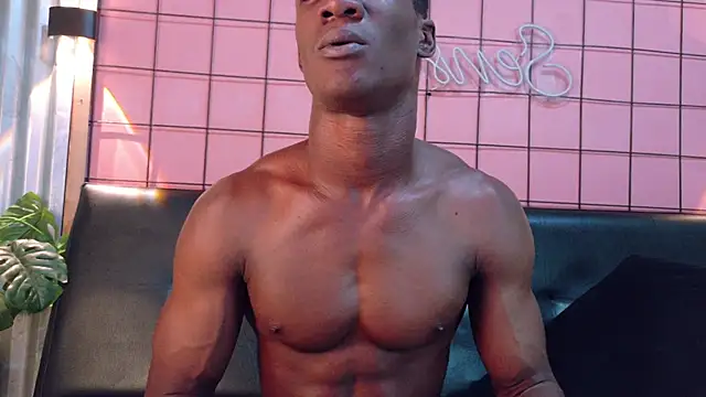 martin_killer webcam