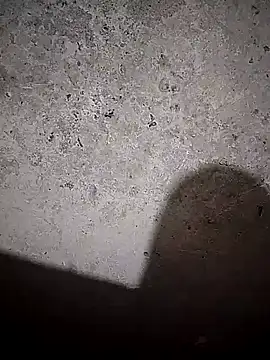 Raj-rajendri__sexy24 webcam