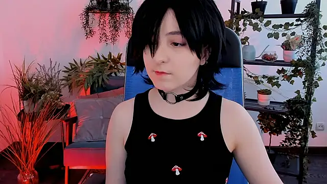 VirtuallVoyant webcam