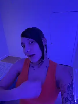 FerrariFrench webcam