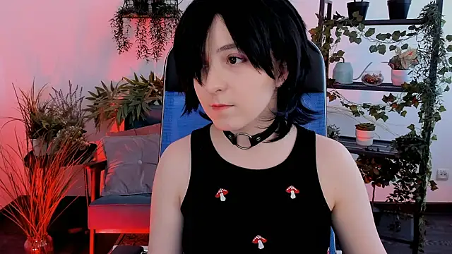 VirtuallVoyant webcam