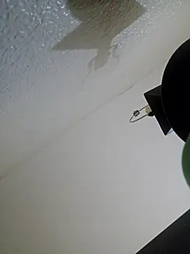 Armyexhibitionistvet webcam