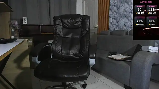 Hideintheoffice webcam