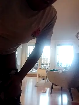 ScribedMuseum webcam