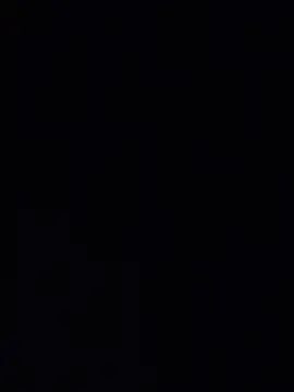 raposinharabuda webcam