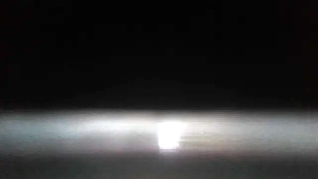 Antoniothedon webcam