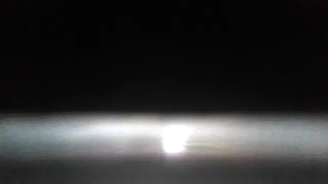 Antoniothedon webcam