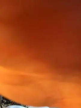 _VictoriaCollins_ webcam