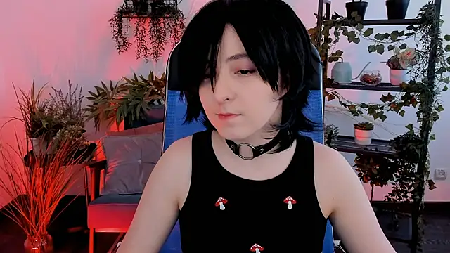 VirtuallVoyant webcam