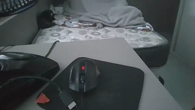 JUNINHOLEKEJR webcam