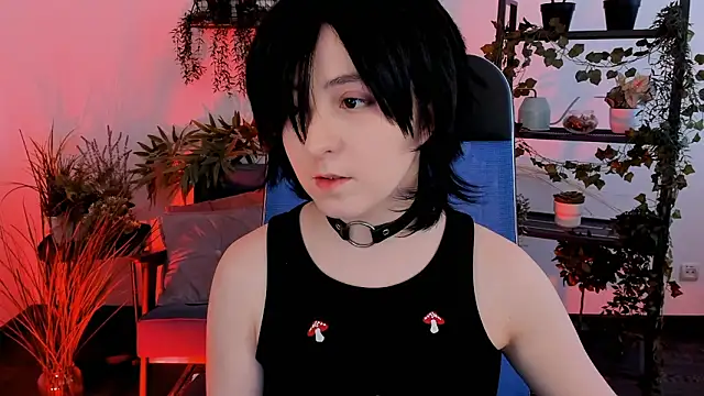 VirtuallVoyant webcam