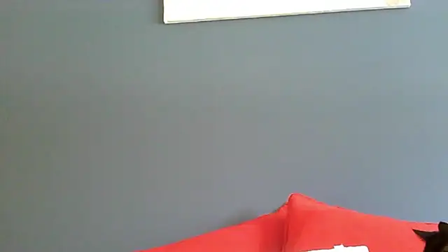 Ginger-bb webcam
