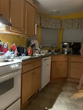 tsashelayamylynzy webcam