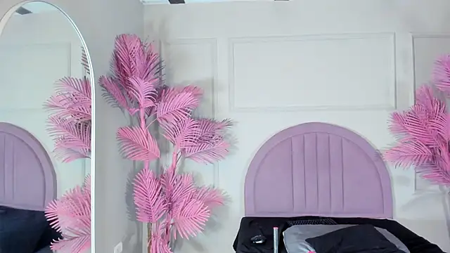 Tamaramilleer webcam