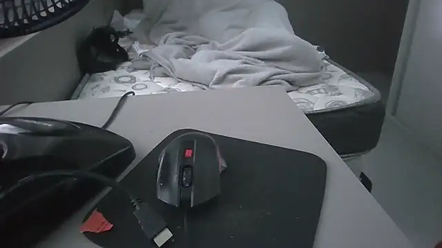 JUNINHOLEKEJR webcam