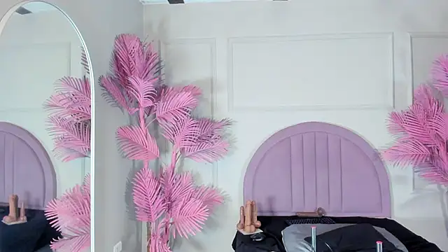 Tamaramilleer webcam