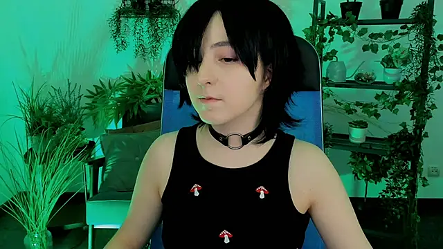 VirtuallVoyant webcam