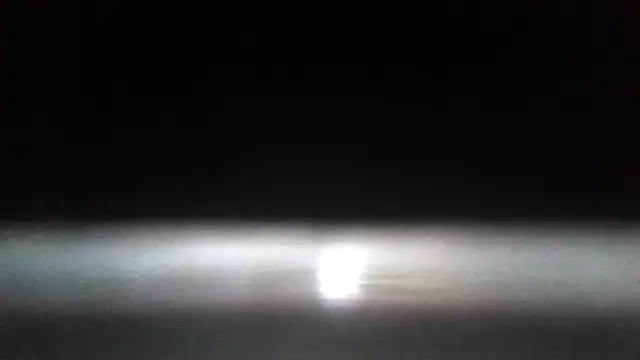 Antoniothedon webcam