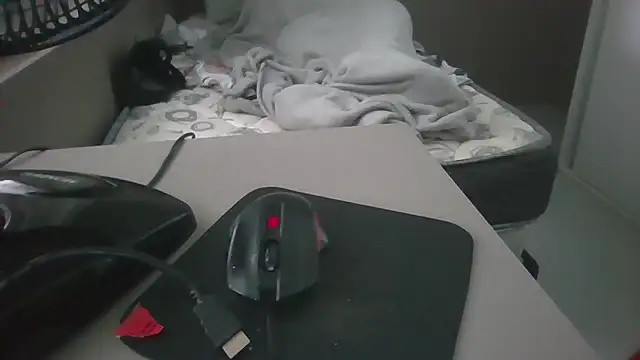 JUNINHOLEKEJR webcam