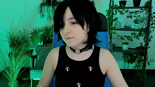 VirtuallVoyant webcam