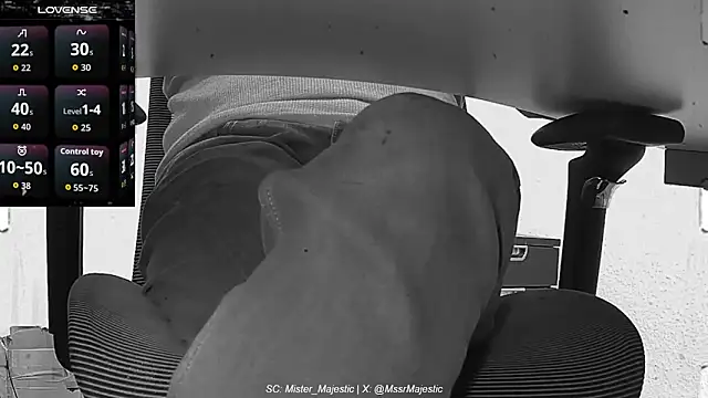 Mister_Majestic webcam