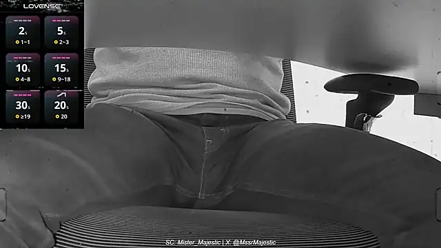 Mister_Majestic webcam