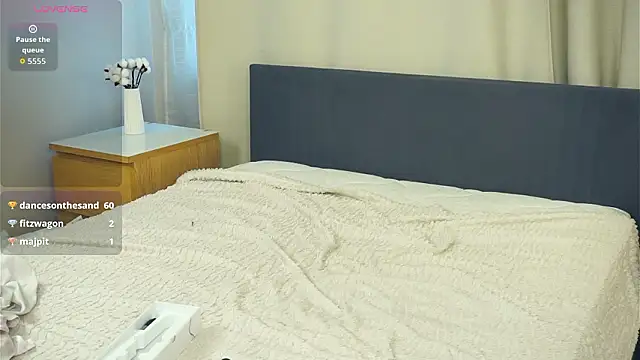 PatricePerlow webcam